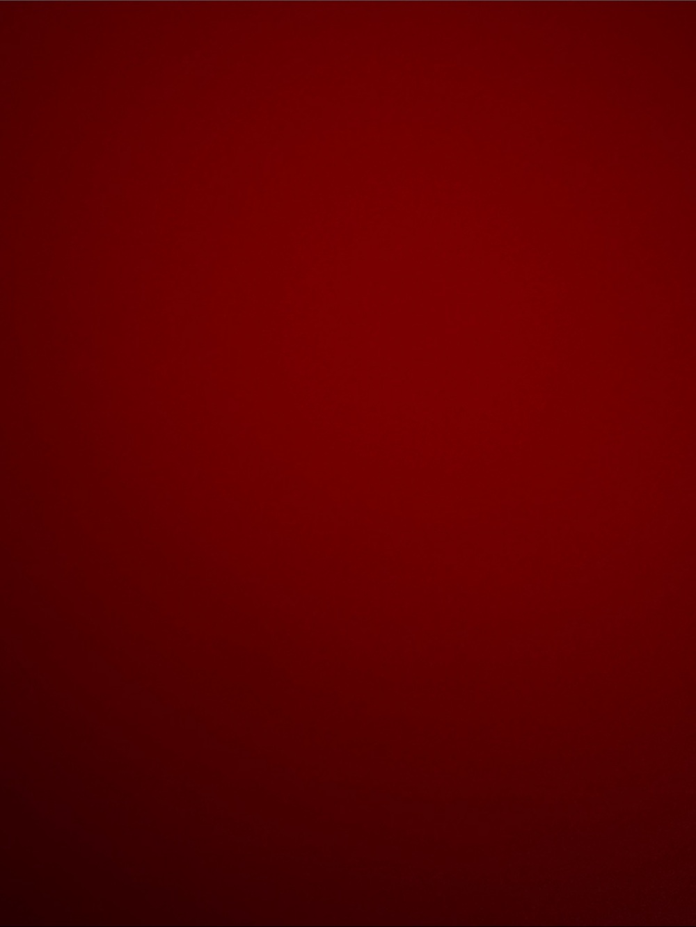 Red Tablet Sleeve - Brand Unspecified